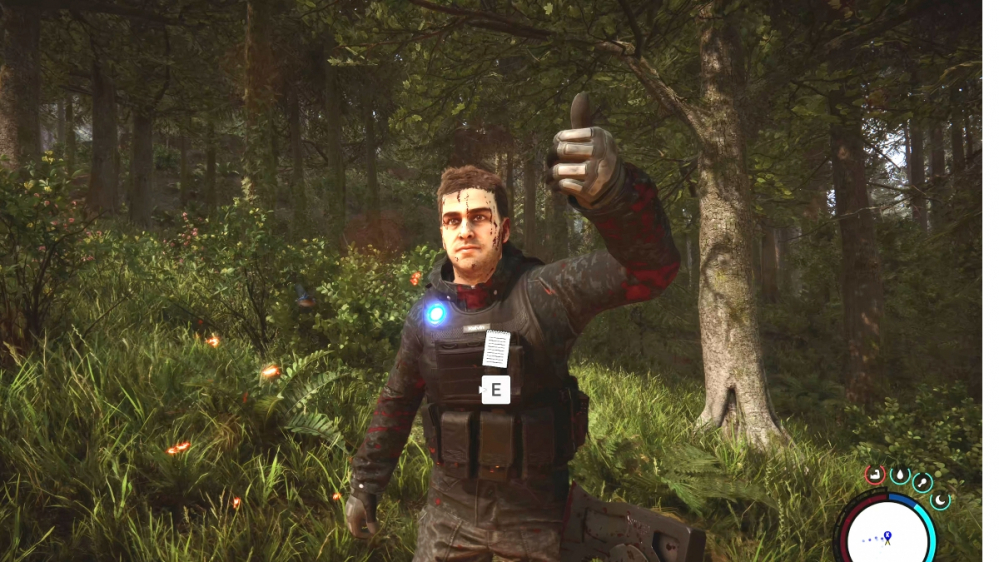 Sons of the Forest: Überlebenstagebuch im schönsten Survival-Spiel aller Zeiten