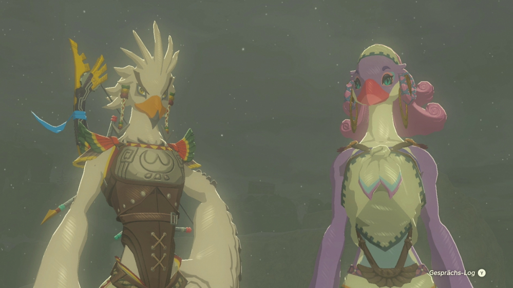 Zelda: Tears of the Kingdom Tipp - den versteckten Abgrund am Orni-Dorf finden