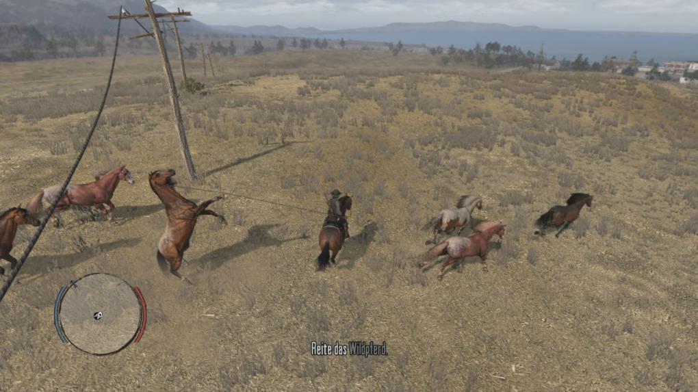 Sattelt euer Pferd und folgt Uncle zu den gesichteten Wildpferden, die es nun zu fangen gilt. Wie gewohnt, fangt ihr die Tiere mit eurem Lasso ein.