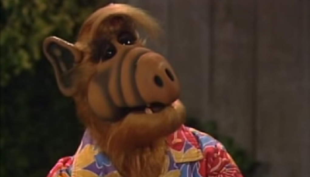Alf mit Hawaiihemd