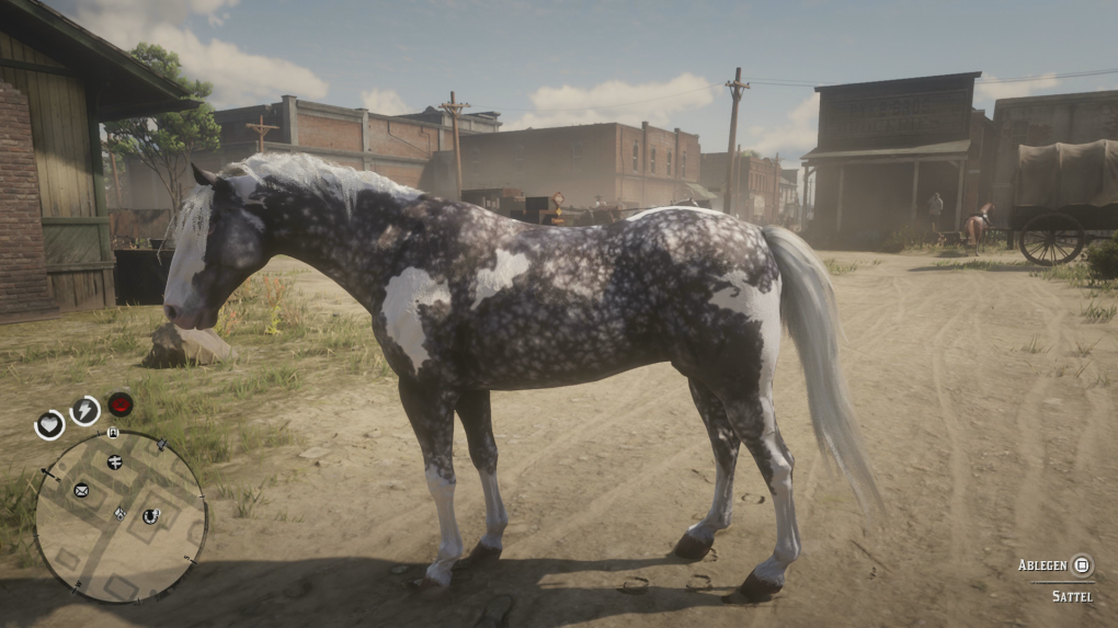 Missouri Foxtrotter<br>
Rappwindfarben-Pinto