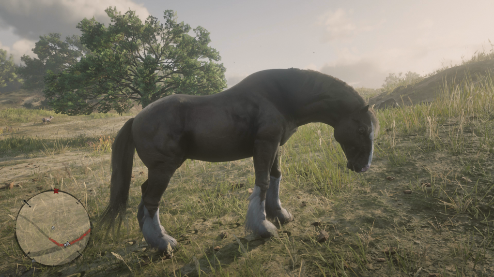 Am liebsten hätte ich von jeder Pferderasse ein Exemplar, aber dann würde der Stall wohl aus allen Nähten platzen. Shire Horses finde ich besonders eindrucksvoll, für ein solches hätte ich immer Platz.