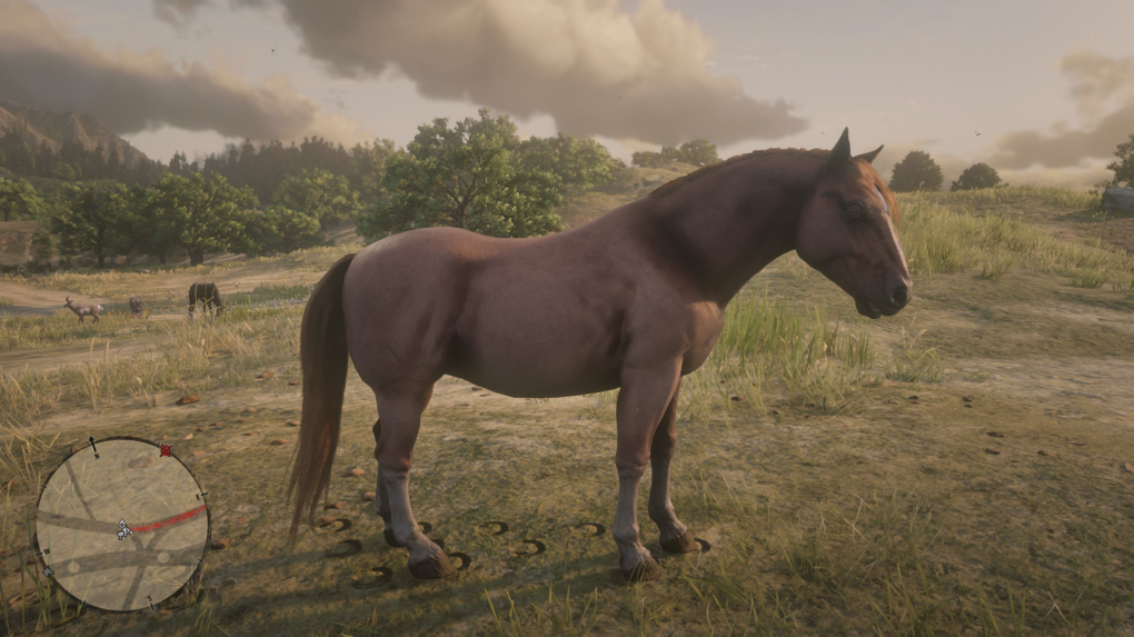 Suffolk Punch<br>
Heller Rotfuchs