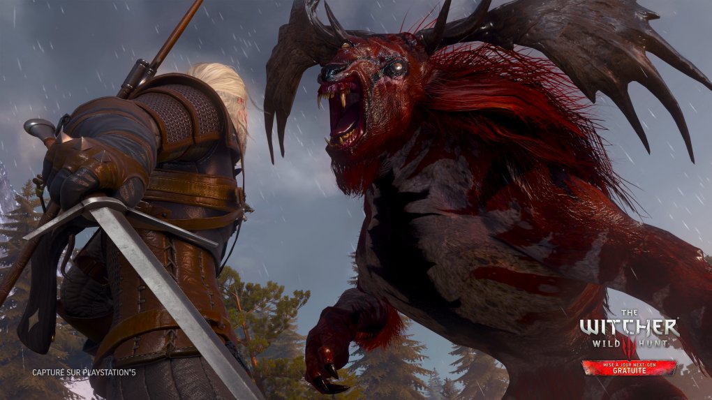 The Witcher 3 im Next-Gen-Check. (4)