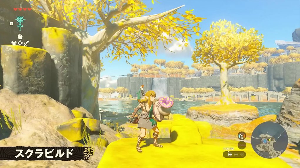 Link hält einen Schild zur Abwehr, an dem ein Pilz angebracht ist.