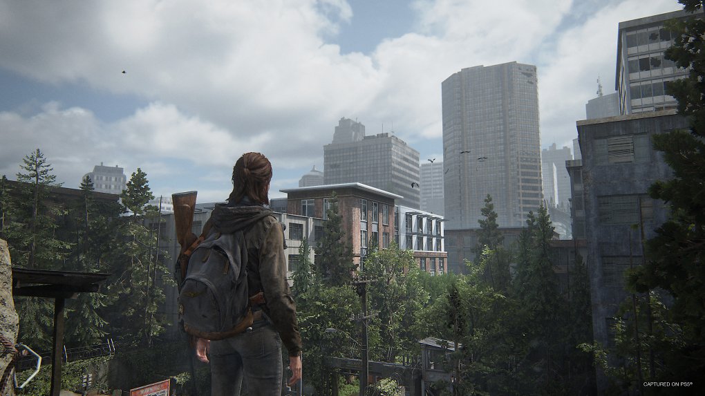 The Last of Us Part 2 Remastered