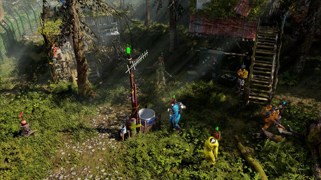 Welcome to ParadiZe Wald