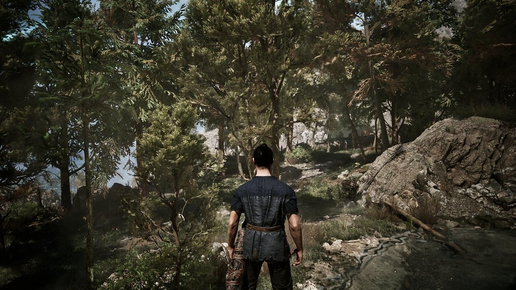 Die Wälder im Gothic Remake