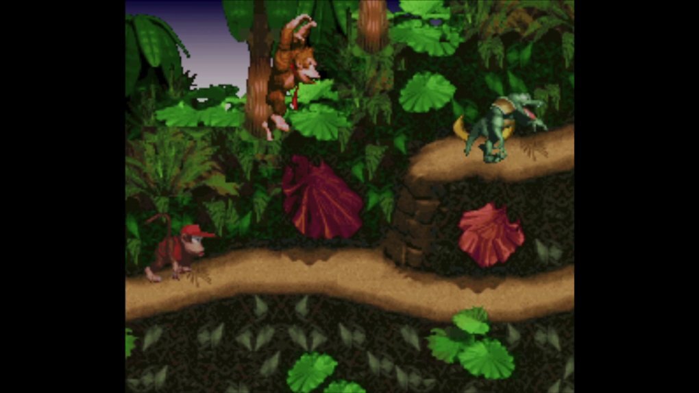 Screenshot aus Donkey Kong Country