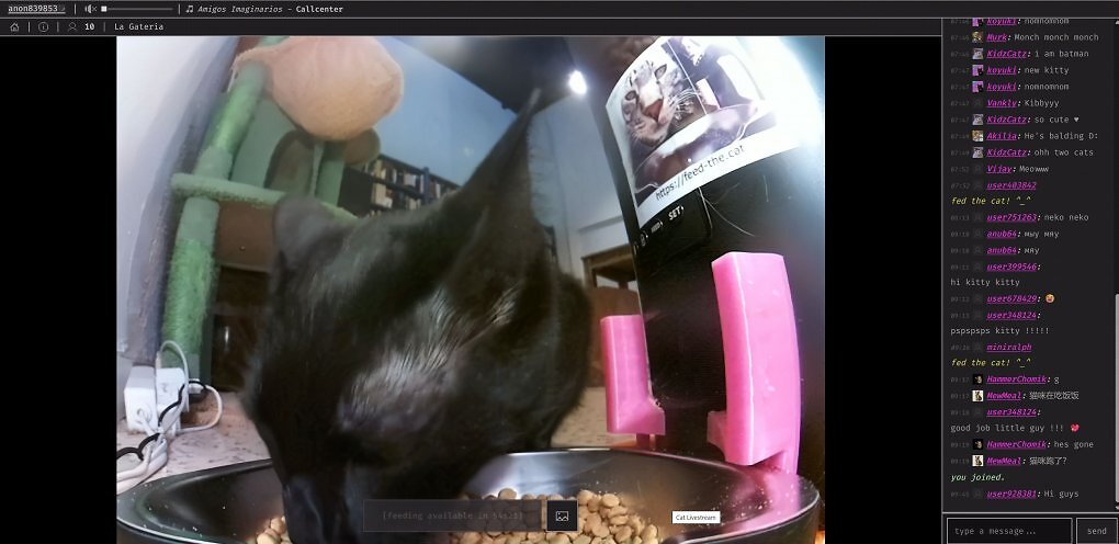Twitch war gestern: Diese Livestream-Seite lässt euch echte Katzen weltweit füttern (3)