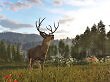 Way of the Hunter 2