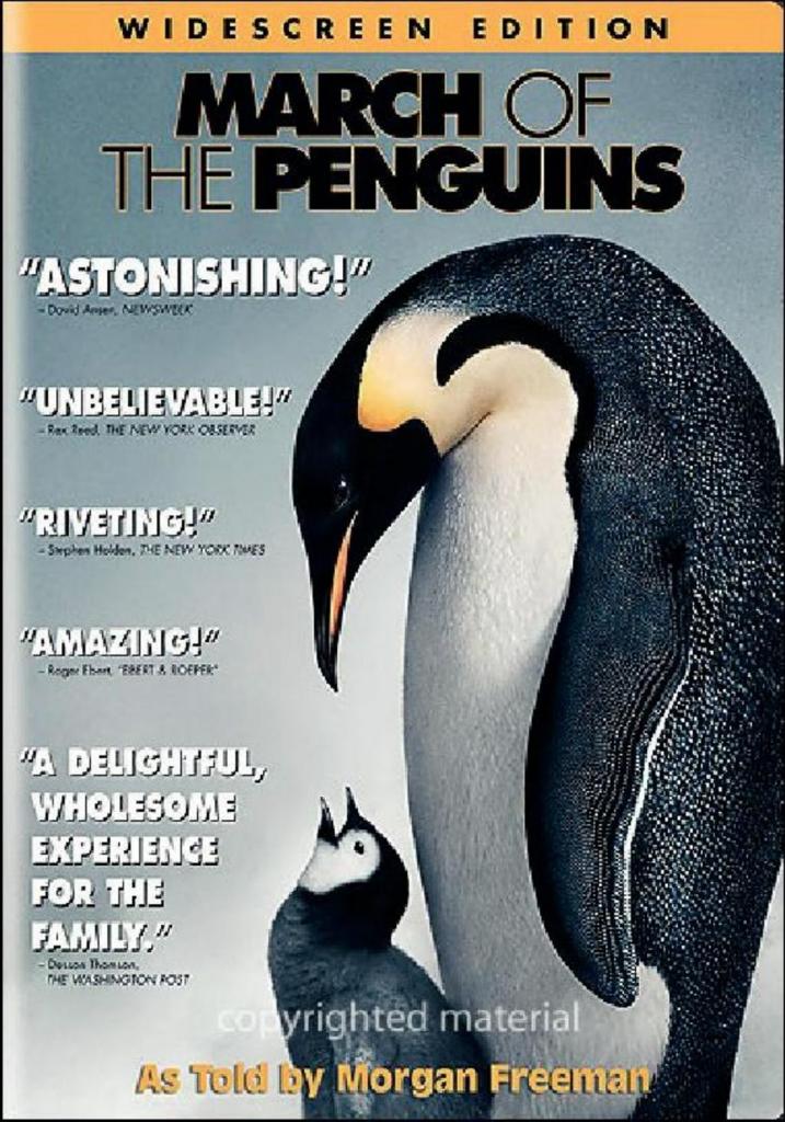 [16/08/2006] 