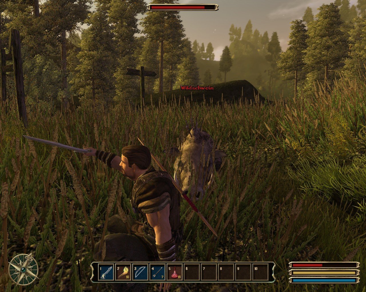 [13/10/2006] Spätestens nach Gothic 3 wissen viele User, dass Wildschweine nicht niedlich, sondern sehr gefährlich sind. Dies war jedoch nicht der einzige Bug, mit dem das Spiel seine Nutzer ärgerte.