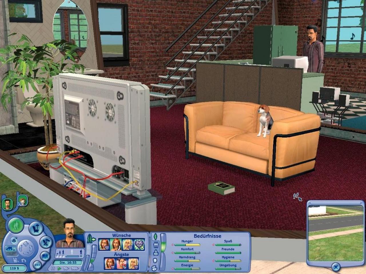 [22/11/2006] Daheim bleiben: Unserem Beagle Rex scheint der neue Plasmafernseher gut zu gefallen. Auf dem PC ist die Grafik deutlich detailreicher. (PC) 
