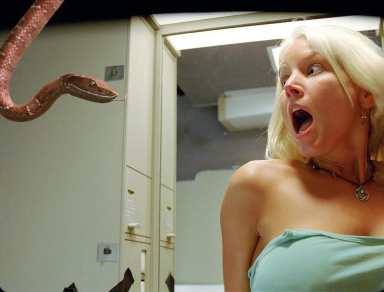 [23/02/2007] Sex auf der Toilette wird umgehend bestraft 