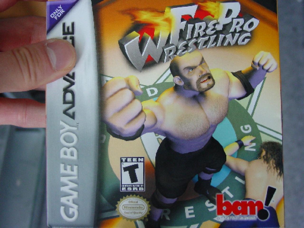[17/06/2008] Fire Pro Wrestling: Was hier dran 