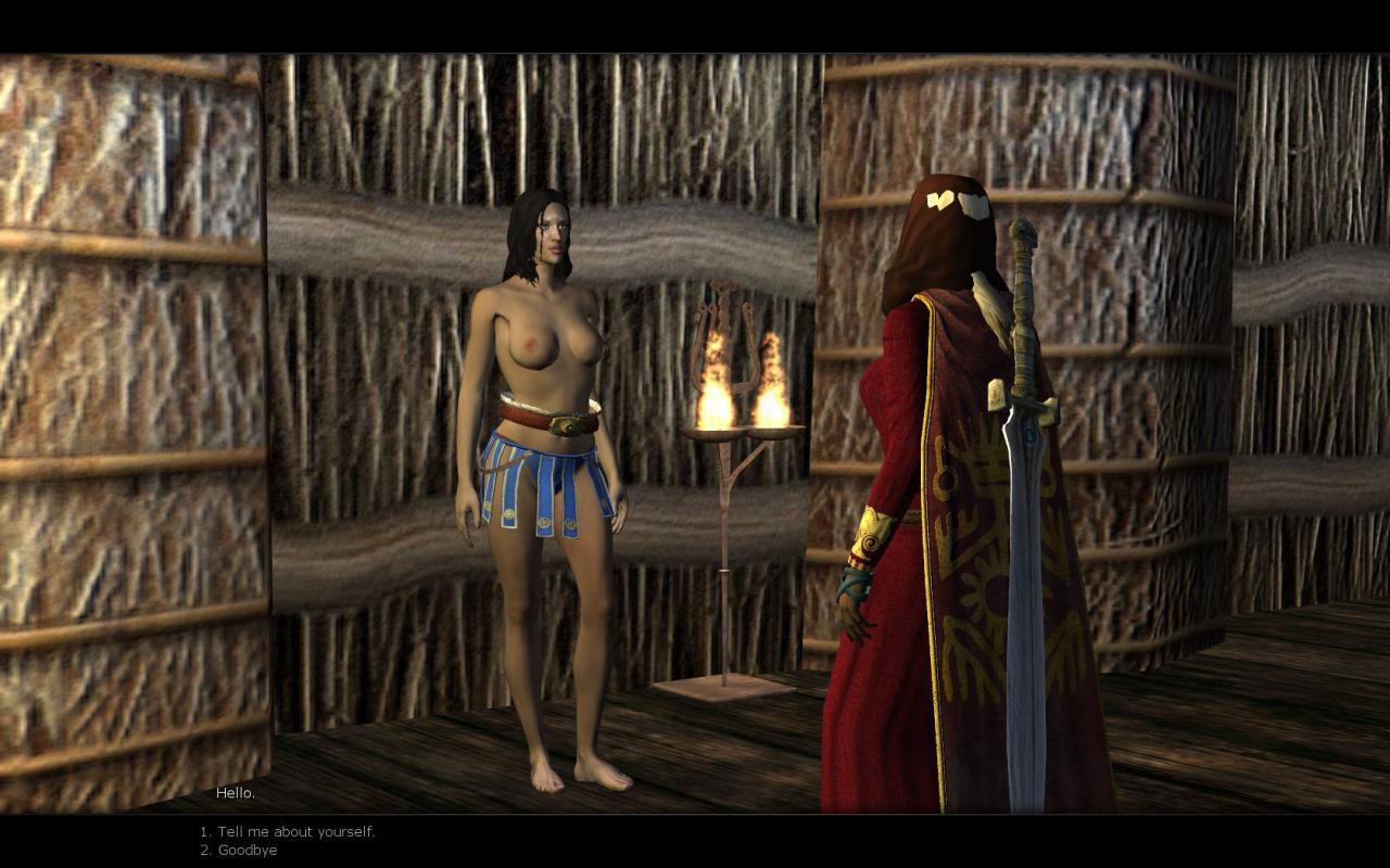 [05/06/2008] Test/Review: Age of Conan