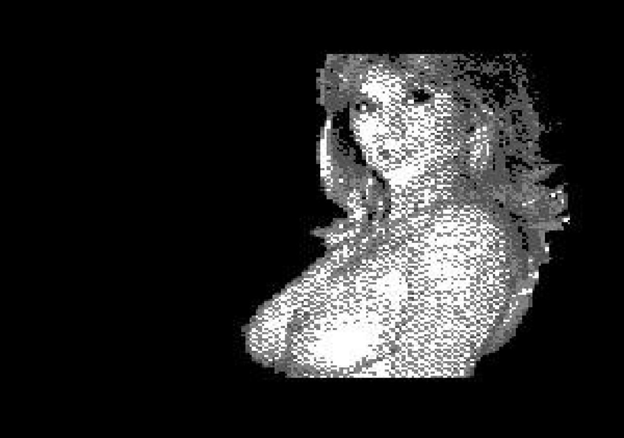 [03/07/2008] 