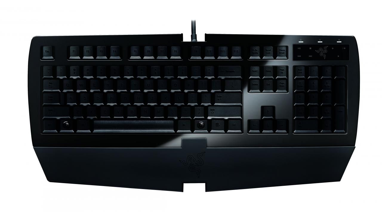 [08/10/2008] Razer Arctosa