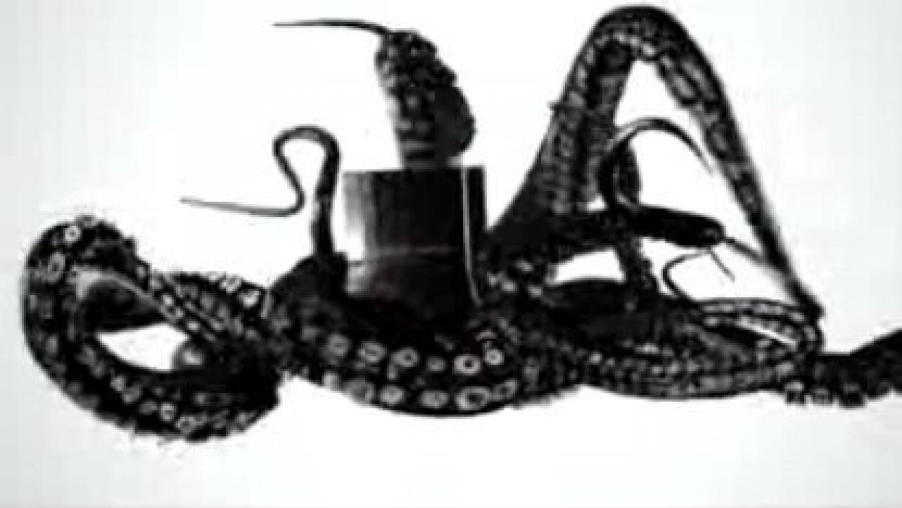 [22/11/2008] 