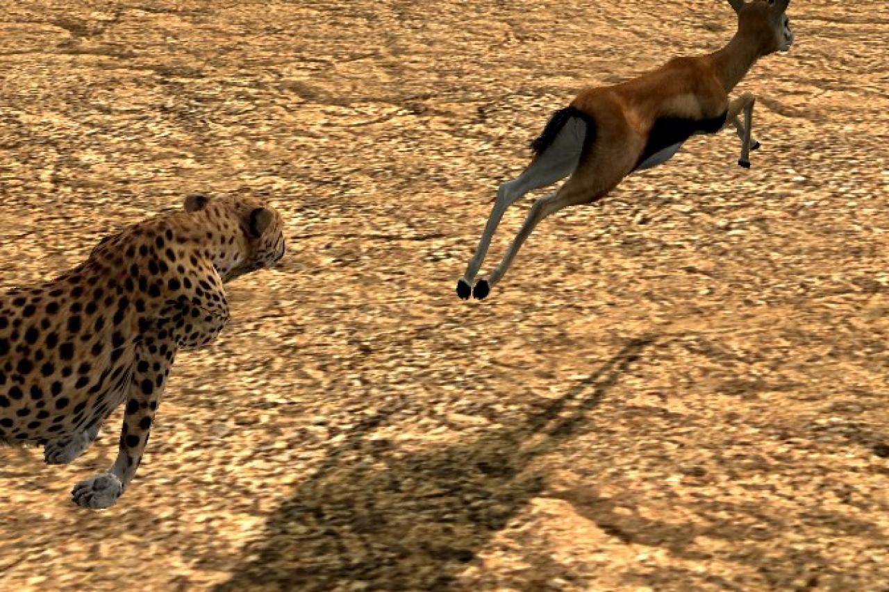 [18/12/2008] HakunaMatata: Safari in Afrika