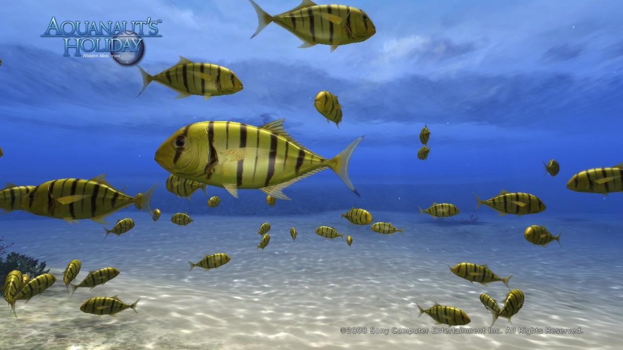 [03/12/2008] Nein, hier kann selbst Jack Thompson nichts kritisieren: Keine Gewalt, keine Drogen und die einzige Liebe, die hier auf dem Bildschirm stattfindet, ist die zum Wasser. Aquanauts Holiday gefällt sicherlich auch Herrn Thompson.