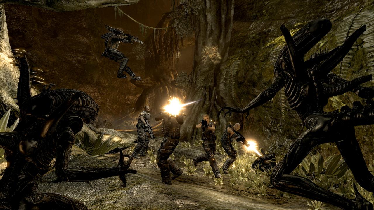 [02/06/2009] Wer sich in diesen Dschungel verirrt, hat besser schon mal vorab sein Testament gemacht, denn entweder endet er als Kopf am Stil oder lebender Brutkasten. Wer in Aliens vs. Predator als Mensch spielt, muss sich um die grüne Gefahr am allerwenigsten Gedanken machen.