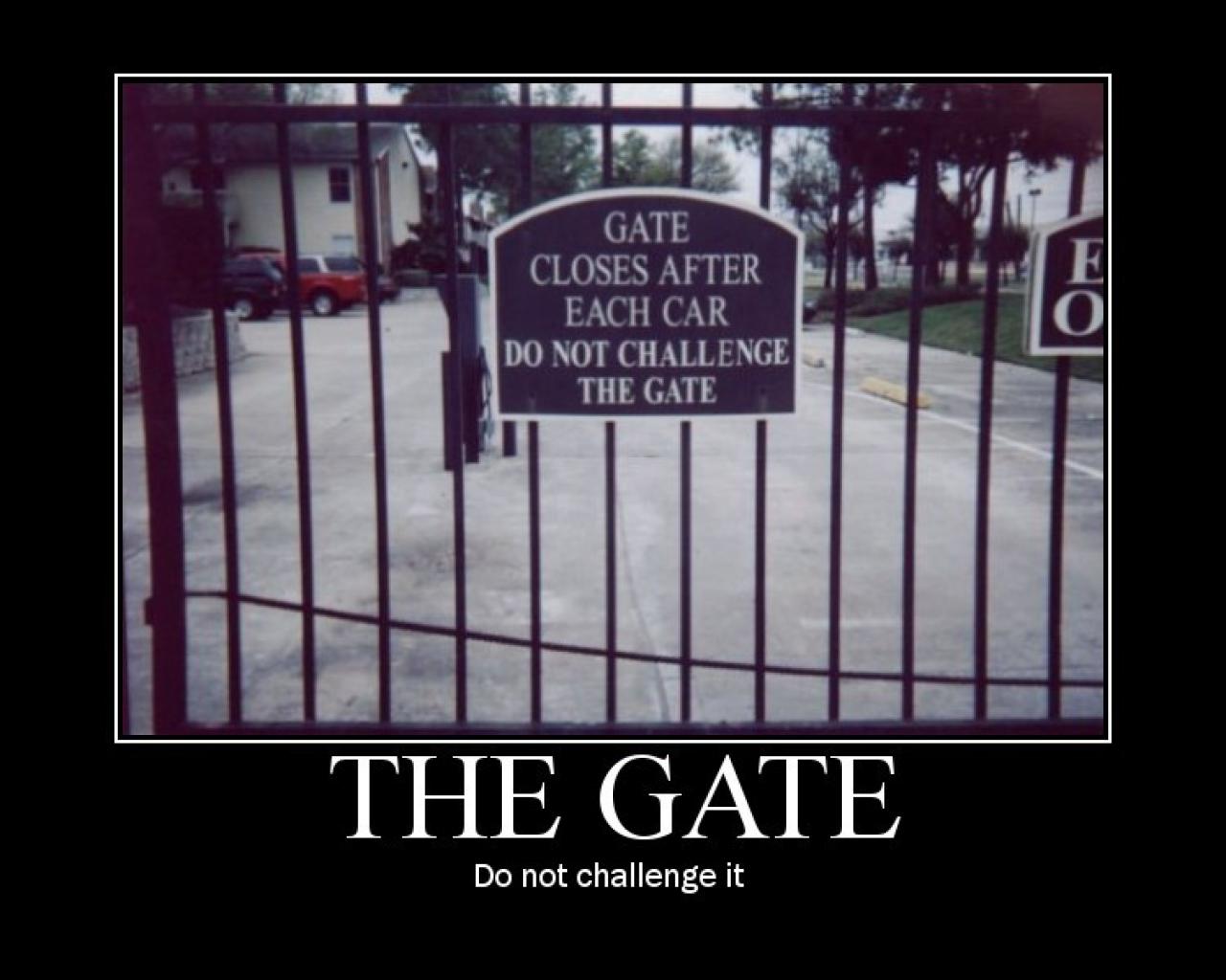 [28/07/2009] Demotivational-Poster: Superlustige Parodie auf die Motivational-Poster aus den Neunzigern - Achtung: Lachgarantie! (233)