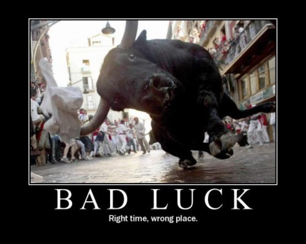 [28/07/2009] Demotivational-Poster: Superlustige Parodie auf die Motivational-Poster aus den Neunzigern - Achtung: Lachgarantie! (232)