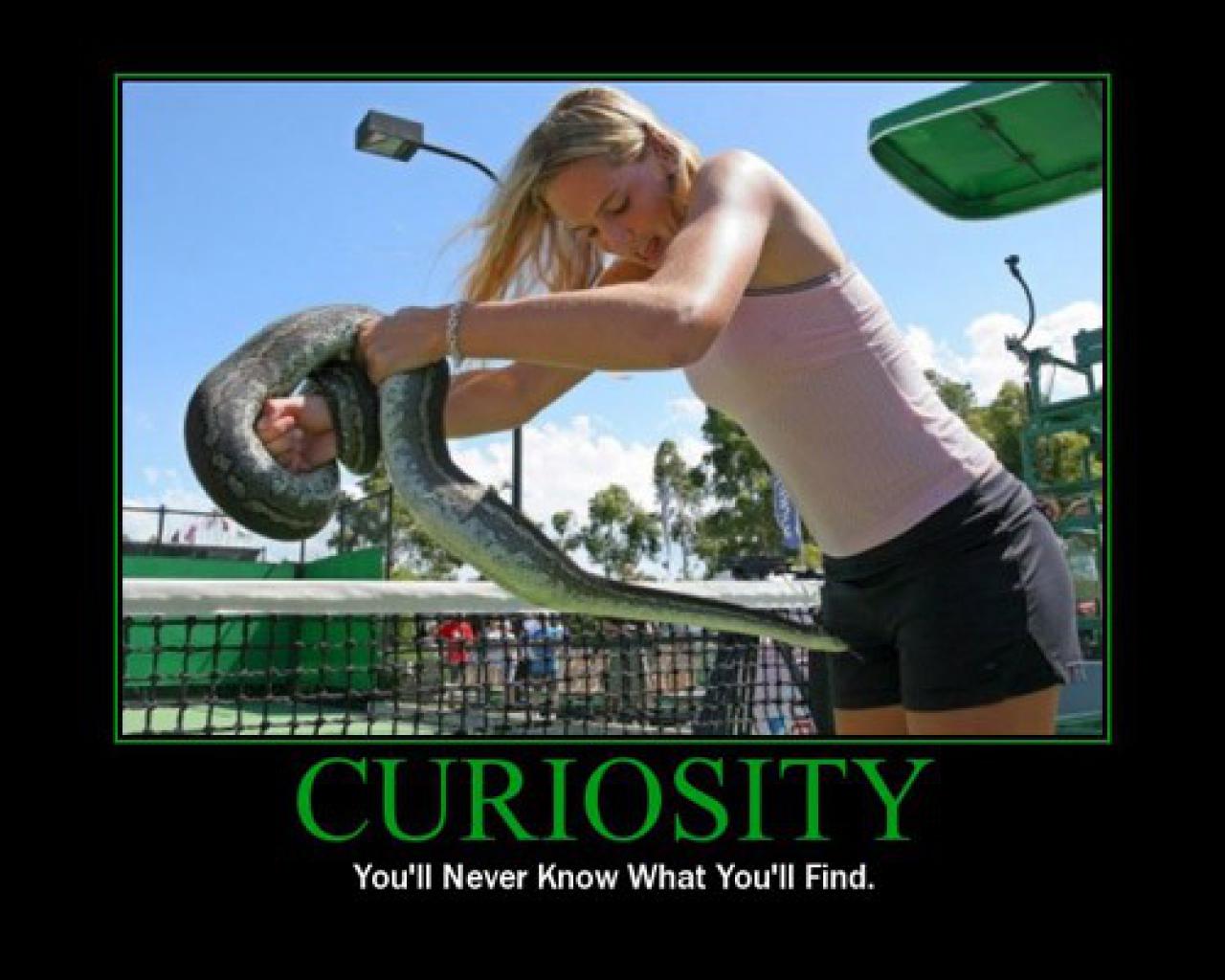 [28/07/2009] Demotivational-Poster: Superlustige Parodie auf die Motivational-Poster aus den Neunzigern - Achtung: Lachgarantie! (230)