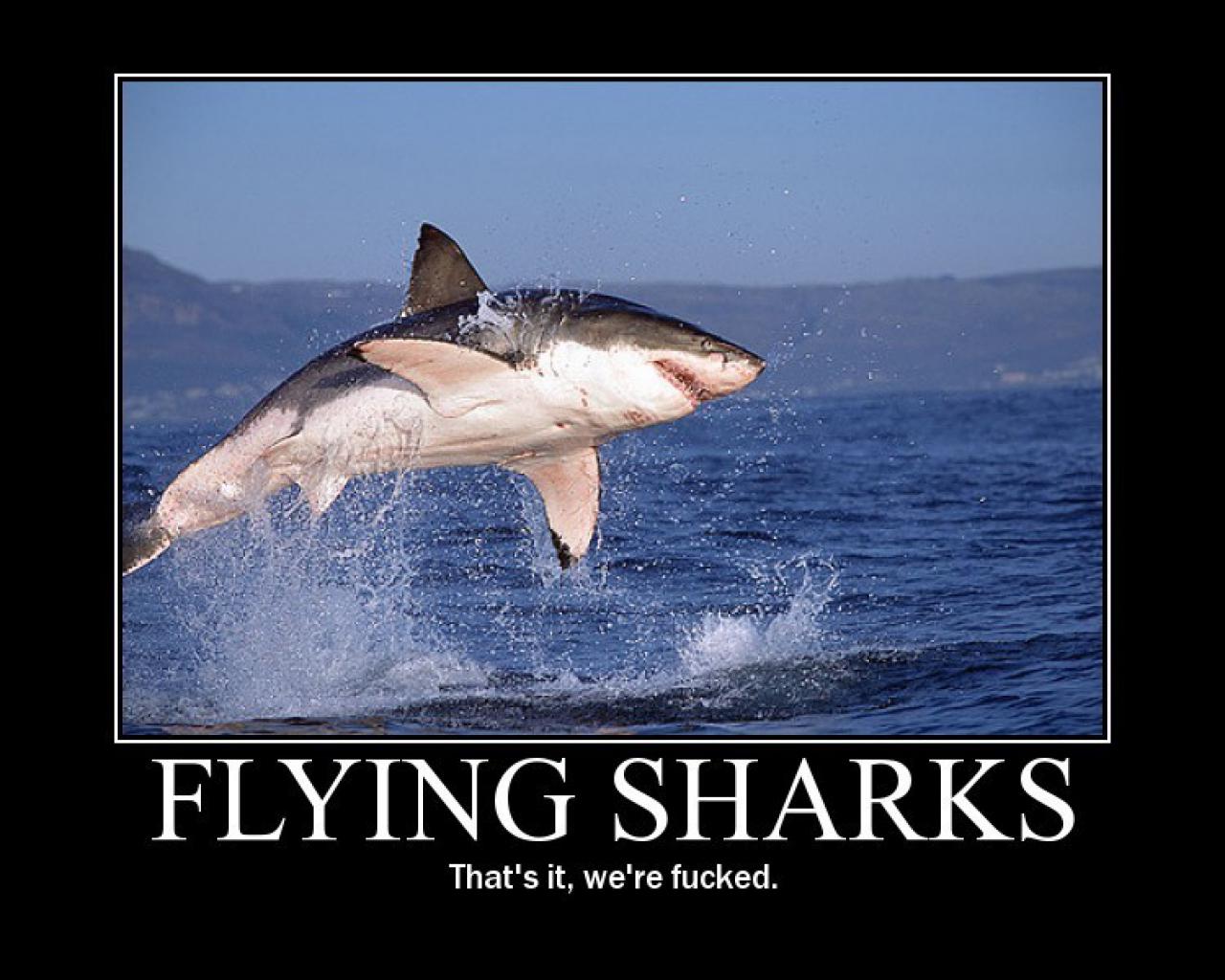 [28/07/2009] Demotivational-Poster: Superlustige Parodie auf die Motivational-Poster aus den Neunzigern - Achtung: Lachgarantie! (59)