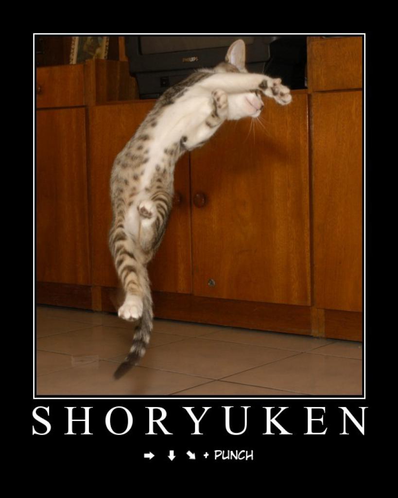[28/07/2009] Demotivational-Poster: Superlustige Parodie auf die Motivational-Poster aus den Neunzigern - Achtung: Lachgarantie! (39)