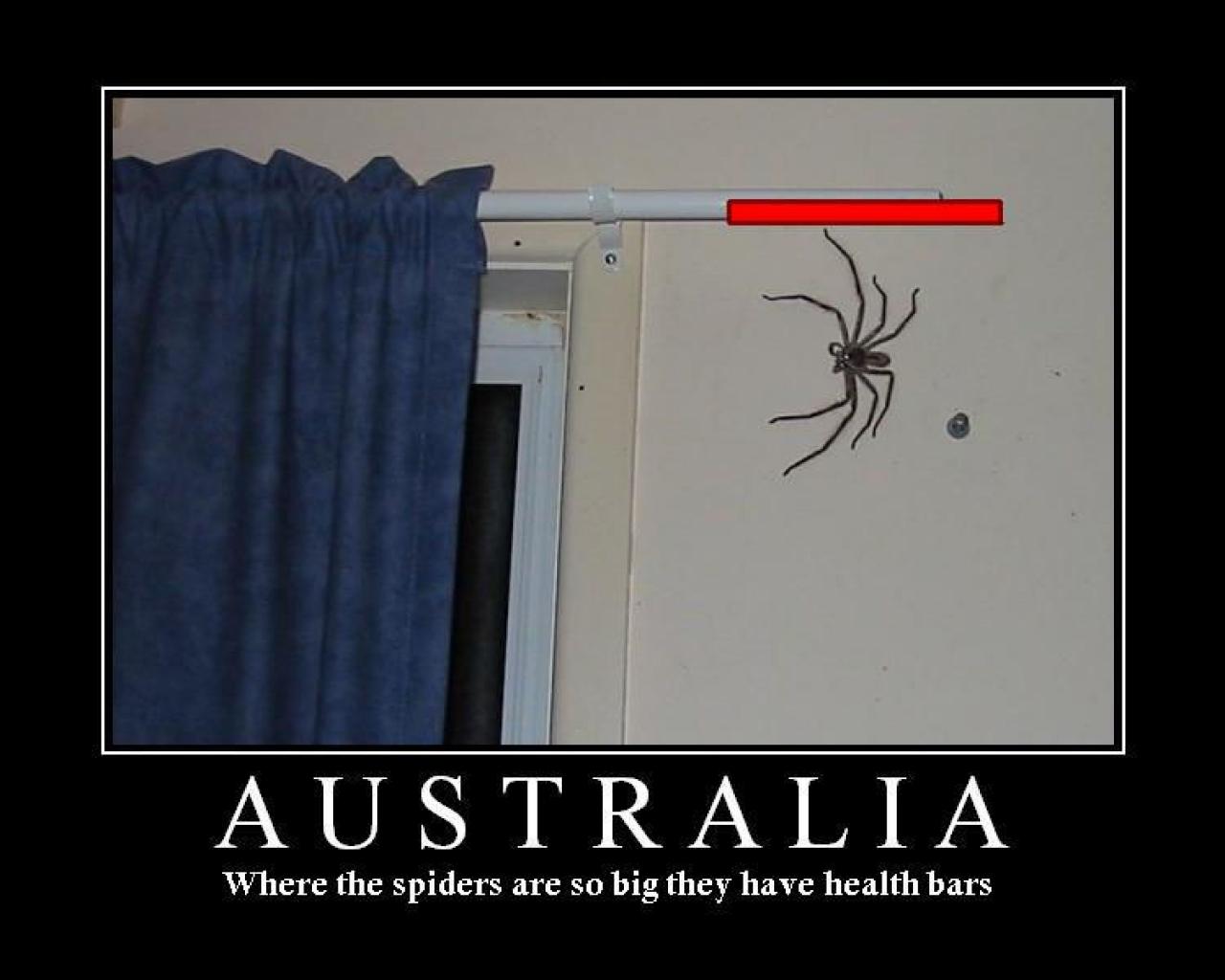 [28/07/2009] Demotivational-Poster: Superlustige Parodie auf die Motivational-Poster aus den Neunzigern - Achtung: Lachgarantie! (26)