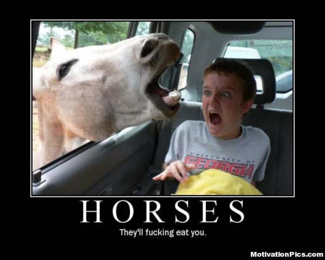 [28/07/2009] Demotivational-Poster: Superlustige Parodie auf die Motivational-Poster aus den Neunzigern - Achtung: Lachgarantie! (98)