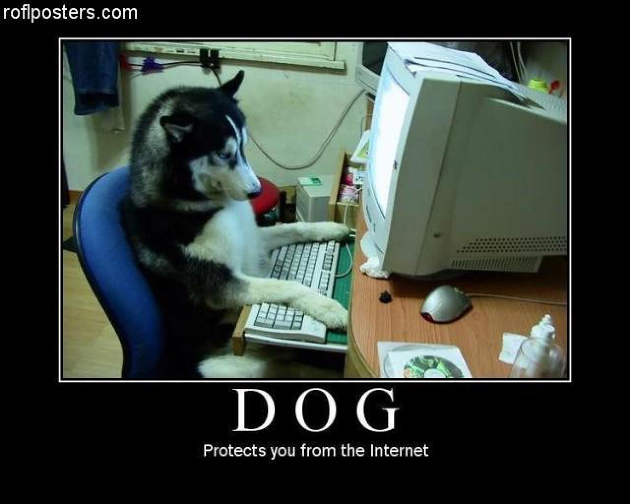 [28/07/2009] Demotivational-Poster: Superlustige Parodie auf die Motivational-Poster aus den Neunzigern - Achtung: Lachgarantie! (33)