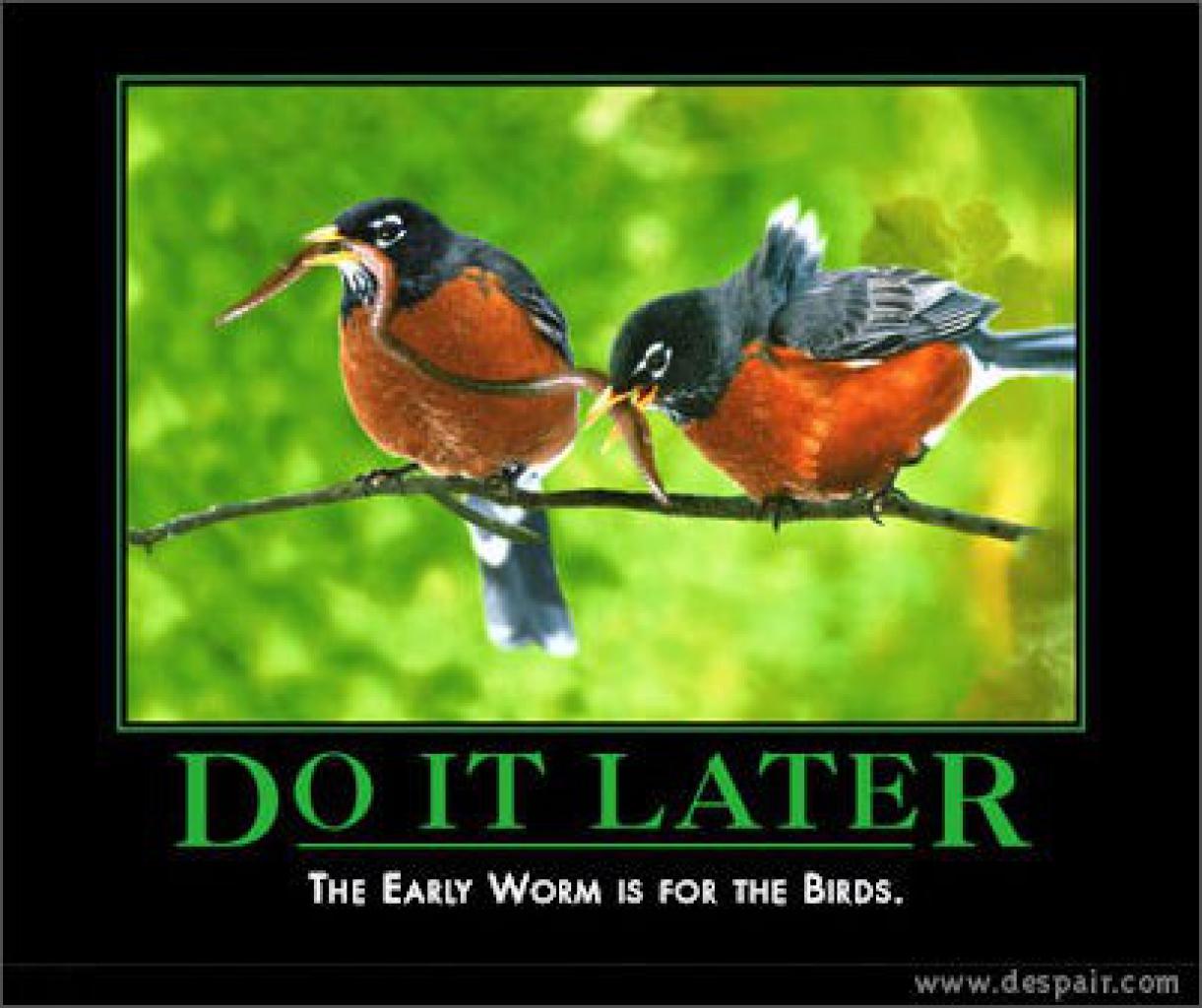 [28/07/2009] Demotivational-Poster: Superlustige Parodie auf die Motivational-Poster aus den Neunzigern - Achtung: Lachgarantie! (316)