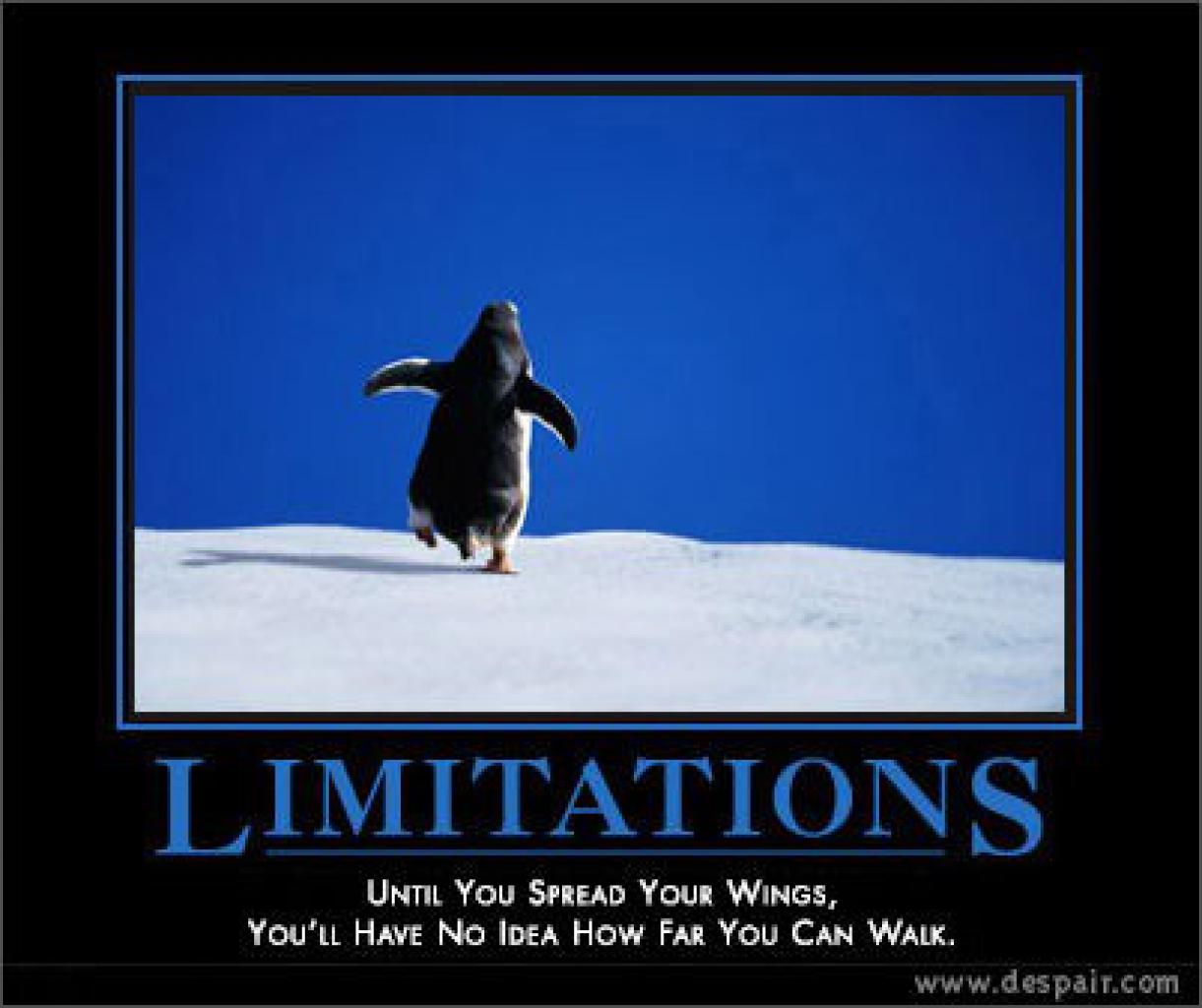 [28/07/2009] Demotivational-Poster: Superlustige Parodie auf die Motivational-Poster aus den Neunzigern - Achtung: Lachgarantie! (299)