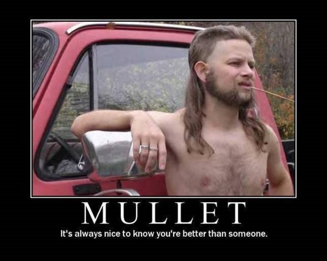 [28/07/2009] Demotivational-Poster: Superlustige Parodie auf die Motivational-Poster aus den Neunzigern - Achtung: Lachgarantie! (294)