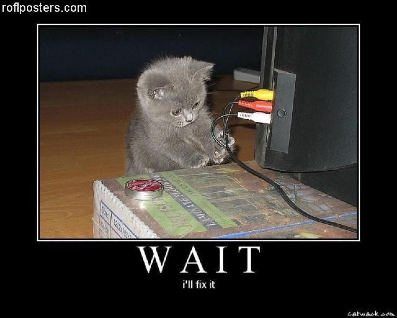 [28/07/2009] Demotivational-Poster: Superlustige Parodie auf die Motivational-Poster aus den Neunzigern - Achtung: Lachgarantie! (252)