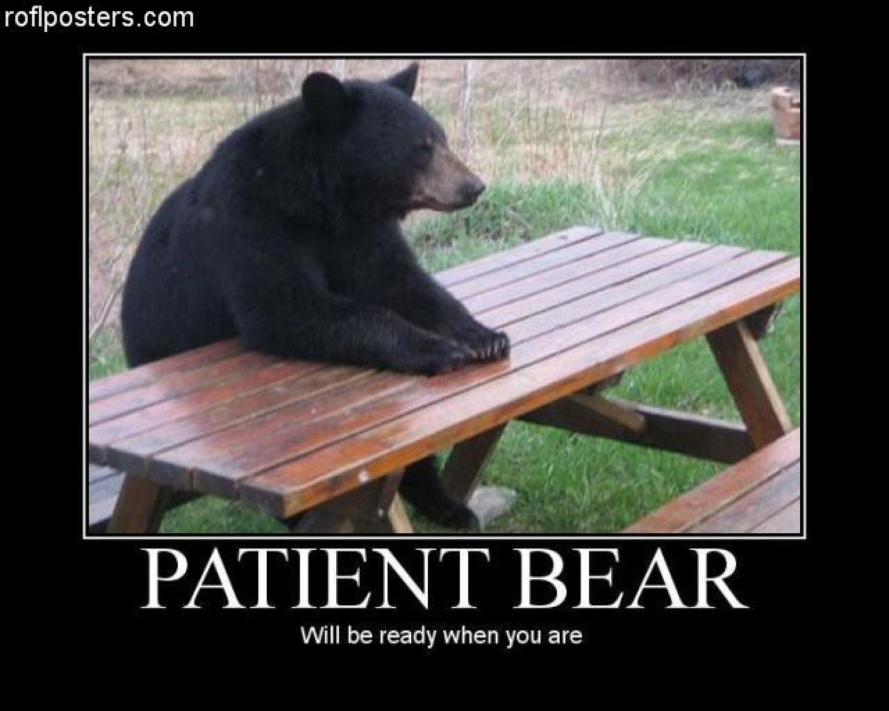 [28/07/2009] Demotivational-Poster: Superlustige Parodie auf die Motivational-Poster aus den Neunzigern - Achtung: Lachgarantie! (236)
