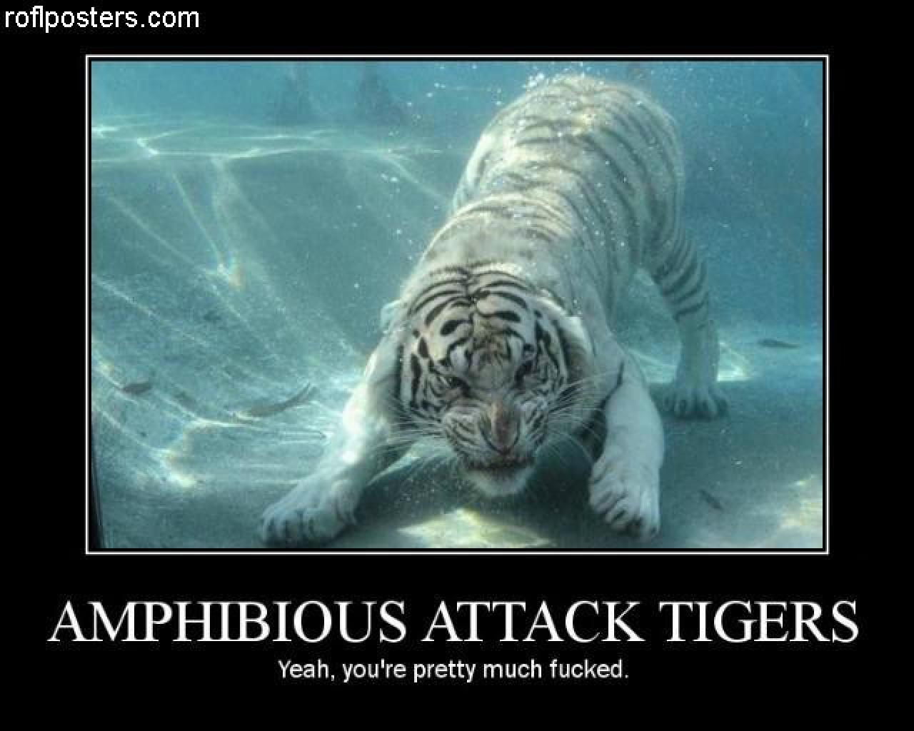 [28/07/2009] Demotivational-Poster: Superlustige Parodie auf die Motivational-Poster aus den Neunzigern - Achtung: Lachgarantie! (248)