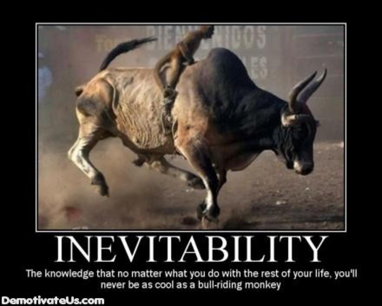 [28/08/2009] Demotivational-Poster: Superlustige Parodie auf die Motivational-Poster aus den Neunzigern - Achtung: Lachgarantie! (202)