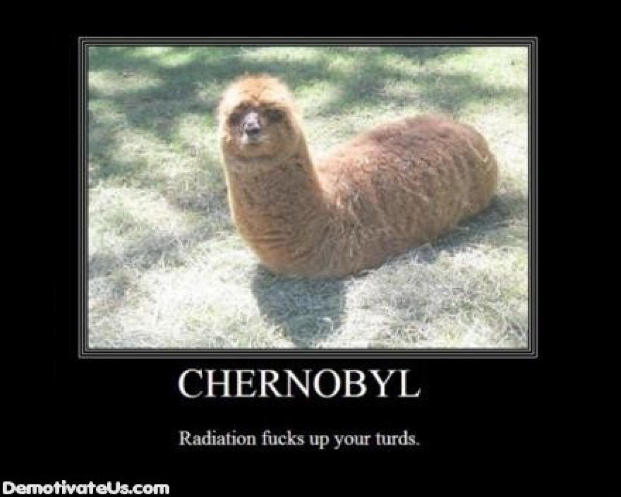 [28/08/2009] Demotivational-Poster: Superlustige Parodie auf die Motivational-Poster aus den Neunzigern - Achtung: Lachgarantie! (197)