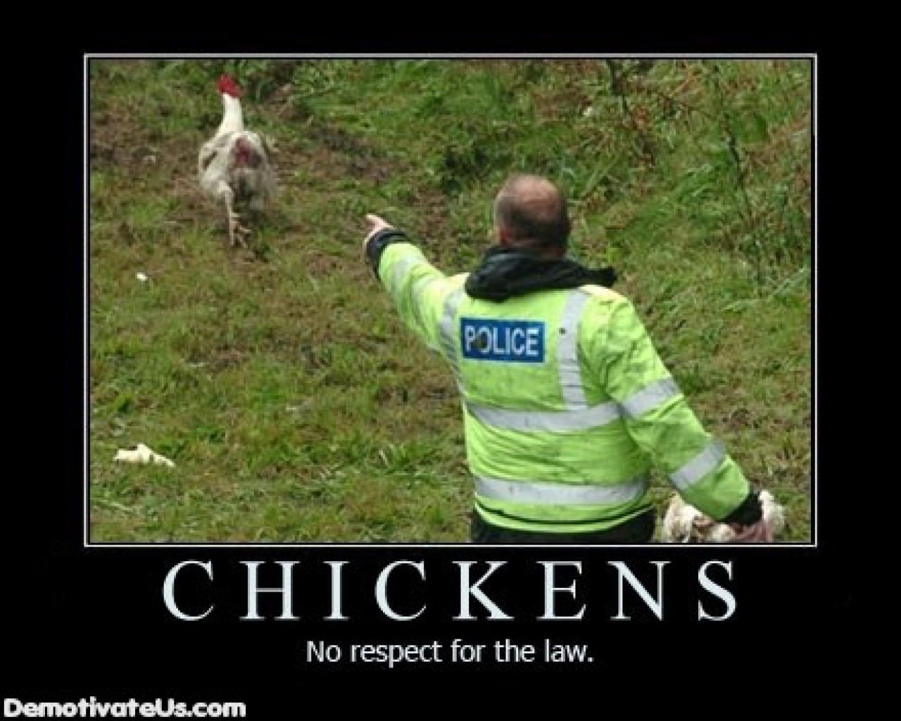 [28/08/2009] Demotivational-Poster: Superlustige Parodie auf die Motivational-Poster aus den Neunzigern - Achtung: Lachgarantie! (196)