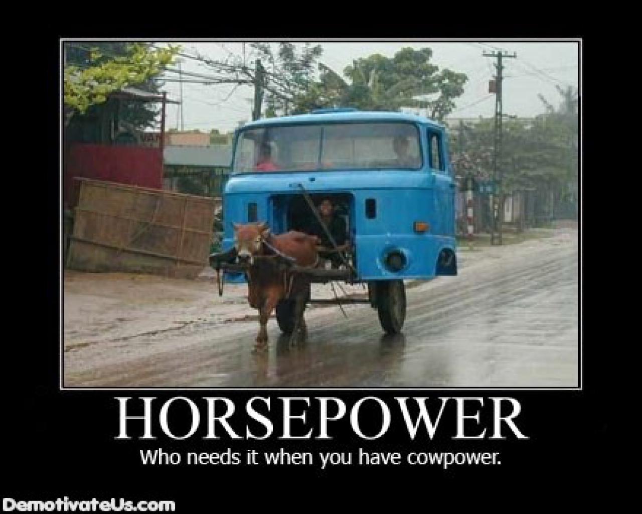 [28/08/2009] Demotivational-Poster: Superlustige Parodie auf die Motivational-Poster aus den Neunzigern - Achtung: Lachgarantie! (82)