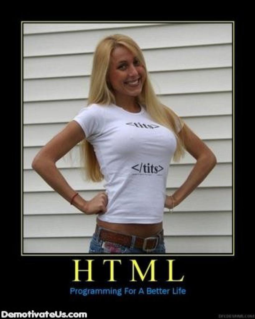 [28/08/2009] Demotivational-Poster: Superlustige Parodie auf die Motivational-Poster aus den Neunzigern - Achtung: Lachgarantie! (22)