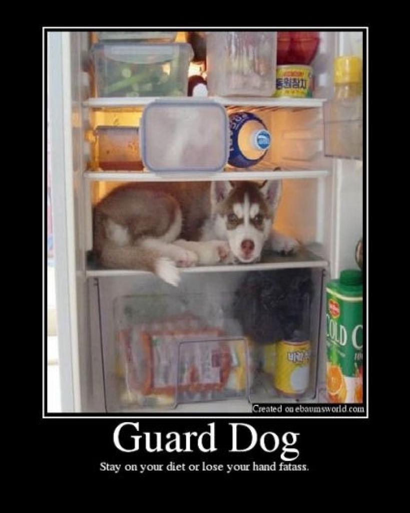 [28/08/2009] Demotivational-Poster: Superlustige Parodie auf die Motivational-Poster aus den Neunzigern - Achtung: Lachgarantie! (6)