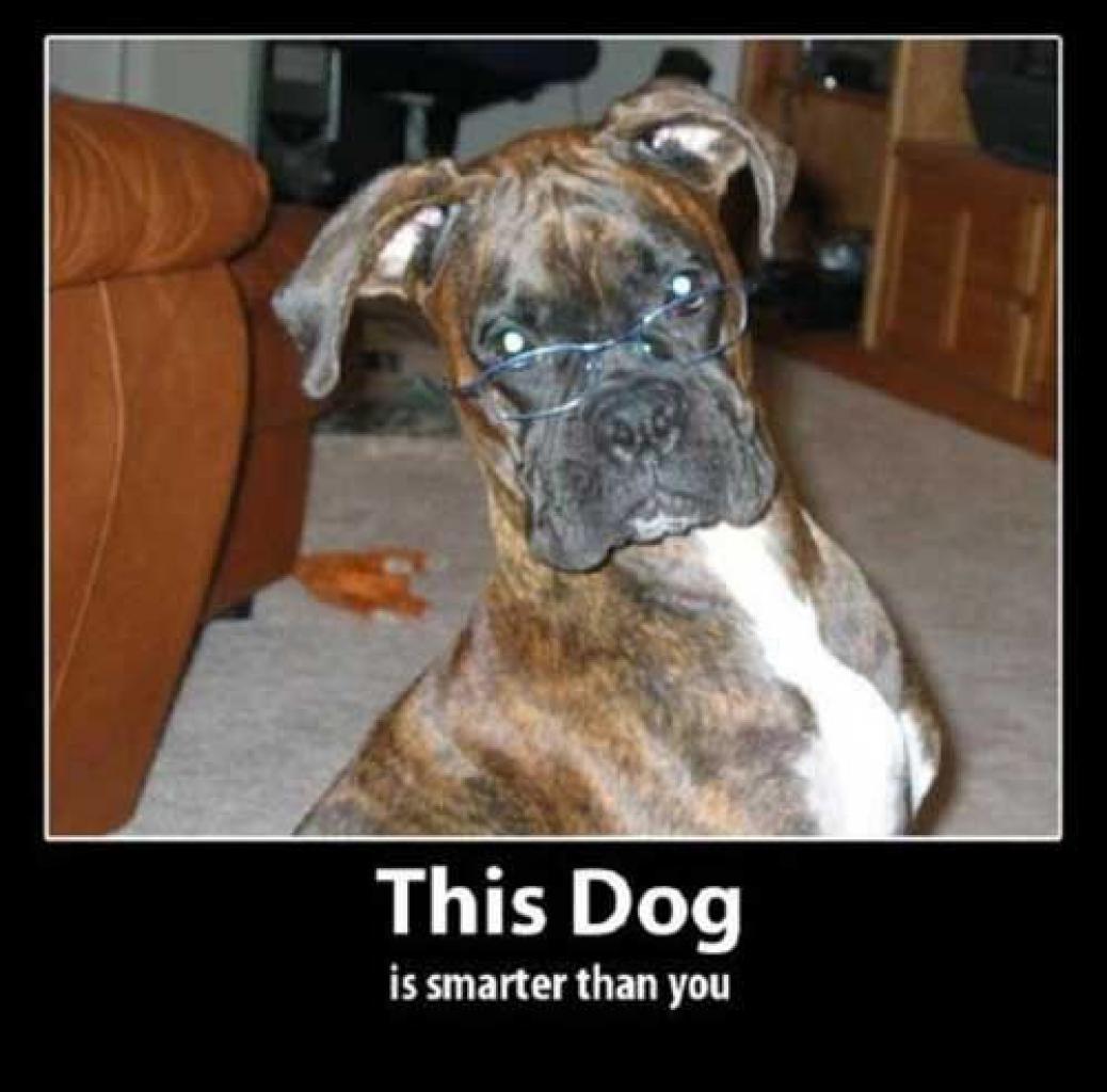 [28/08/2009] Demotivational-Poster: Superlustige Parodie auf die Motivational-Poster aus den Neunzigern - Achtung: Lachgarantie! (152)