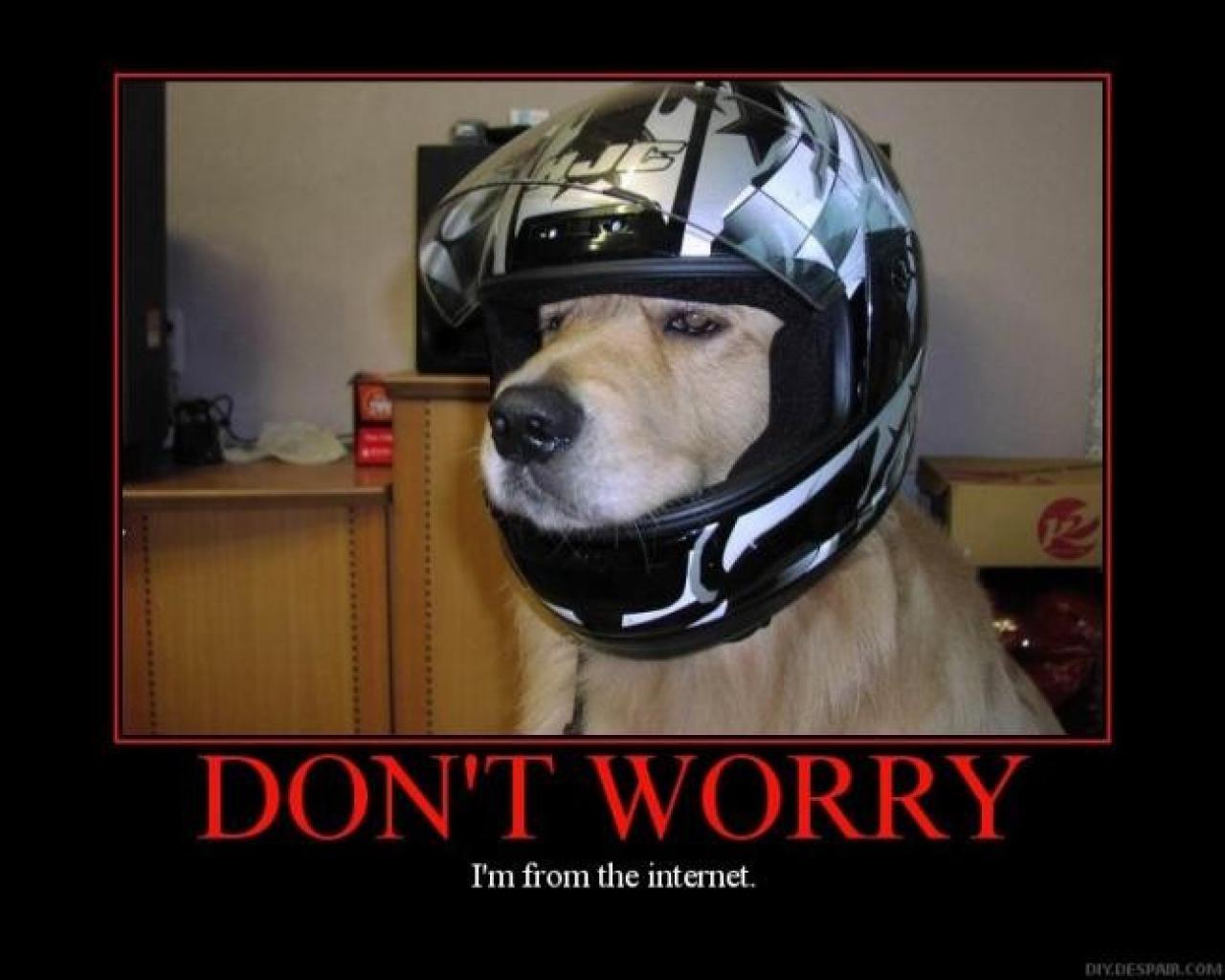 [28/08/2009] Demotivational-Poster: Superlustige Parodie auf die Motivational-Poster aus den Neunzigern - Achtung: Lachgarantie! (66)