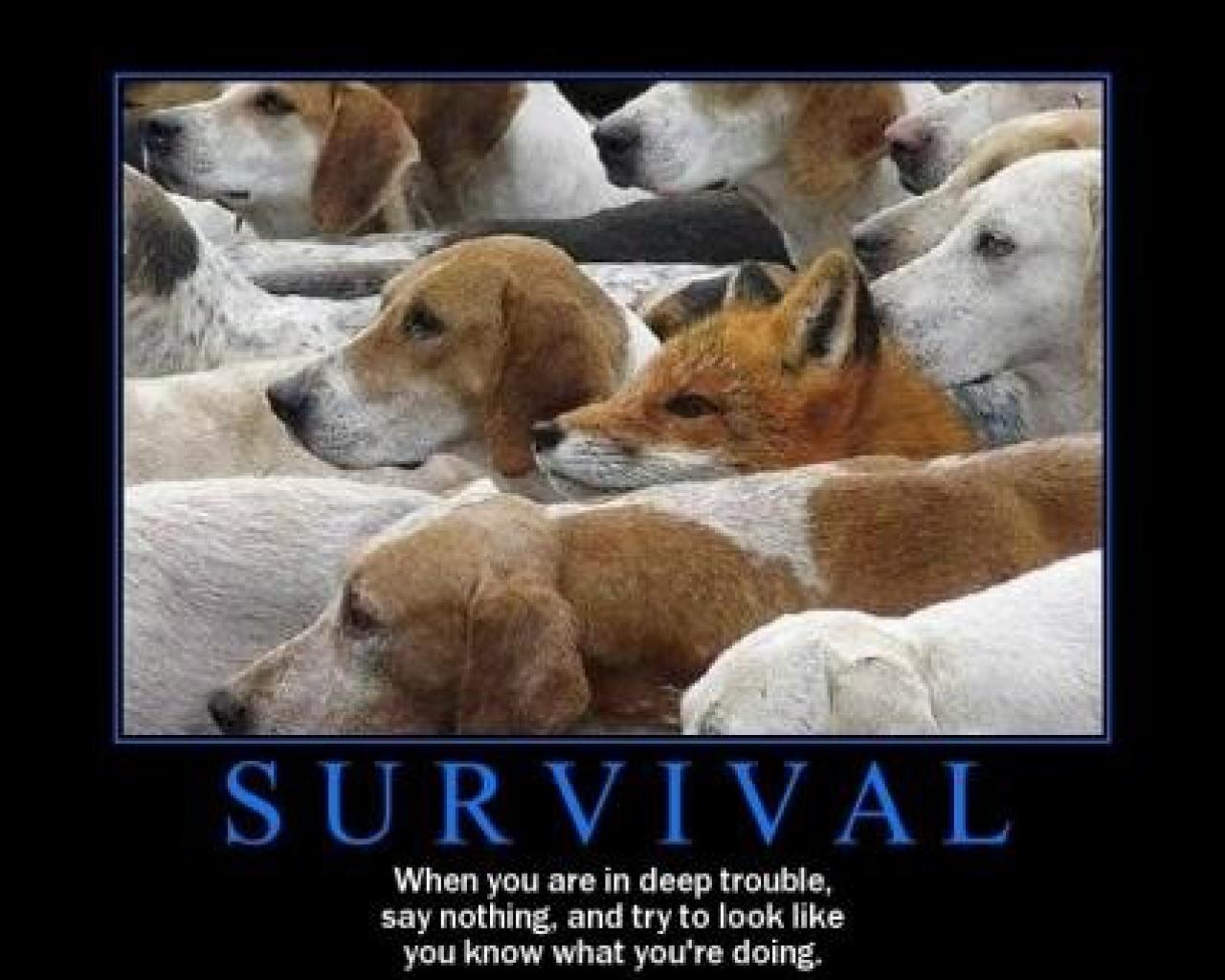 [28/08/2009] Demotivational-Poster: Superlustige Parodie auf die Motivational-Poster aus den Neunzigern - Achtung: Lachgarantie! (121)